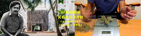 мяу мяу мука Белокуриха