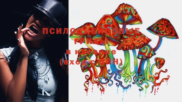 прущие грибы Белоозёрский