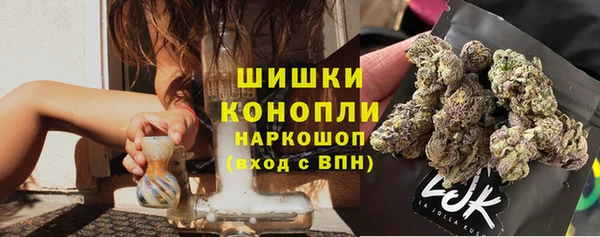 прущие грибы Белоозёрский