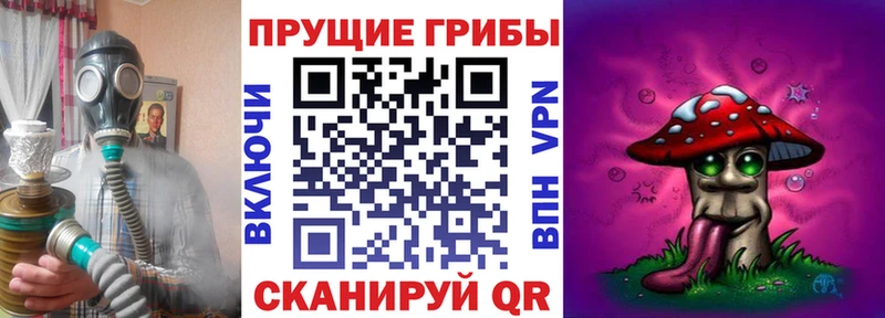 площадка какой сайт  Демидов  Псилоцибиновые грибы Psilocybine cubensis 
